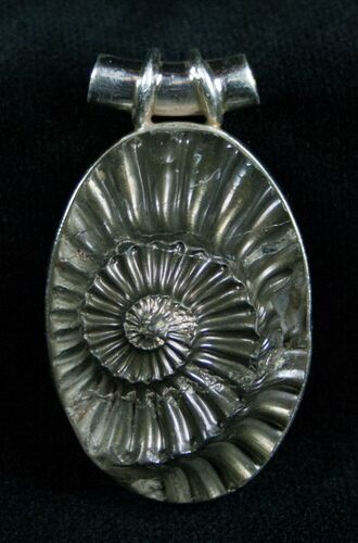 Pyrite Ammonite Pendant - Sterling Silver #7030